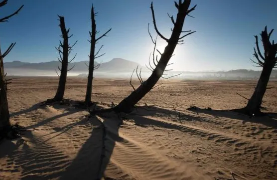 Cape Town drought declared a 'national disaster'