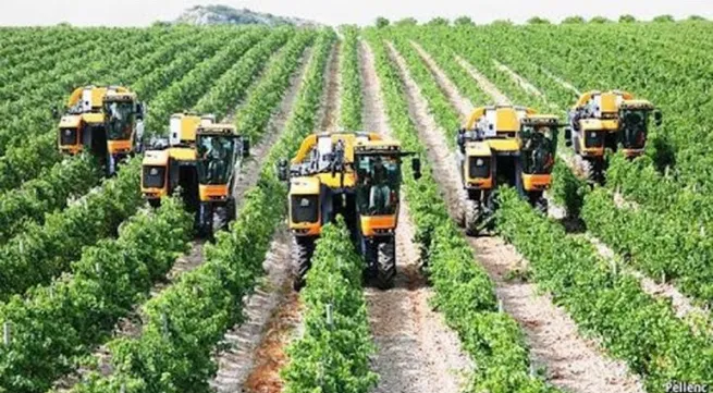 Technological applications for farm produce origin tracking