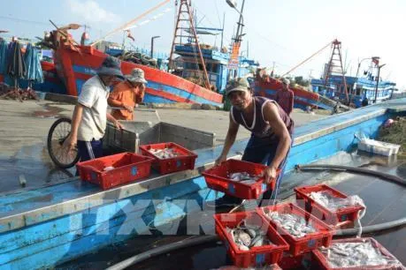 Good catches in central Vietnam