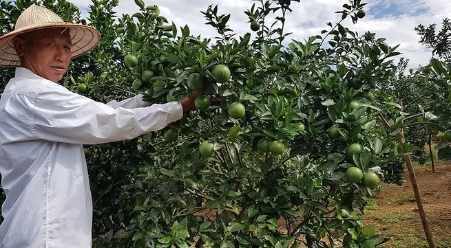 Social welfare and poverty reduction work facilitated in Ha Tinh