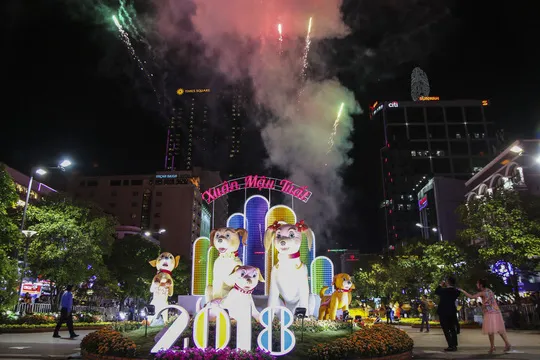 Ho Chi Minh City flower street to celebrate year of the dog