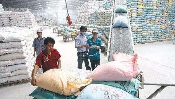 Vietnam to host World Rice Conference in October