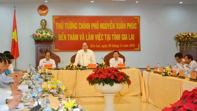 Gia Lai needs to increase forest coverage: PM