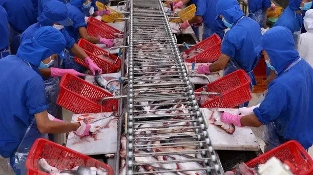 Vietnam’s export value to US reaches record high in August