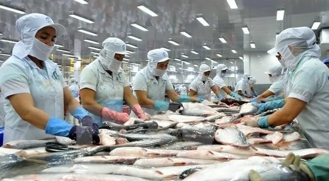Vietnam qualified to export catfish to the US