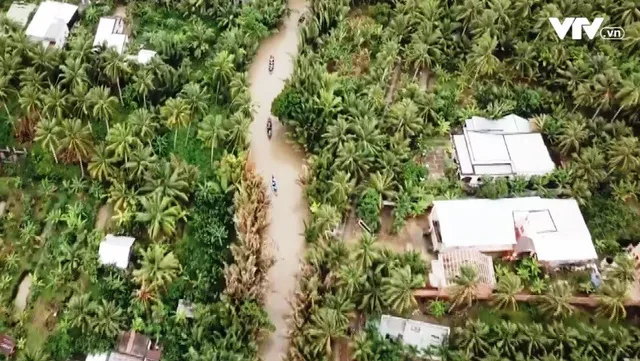 Coconut-themed tour in Ben Tre