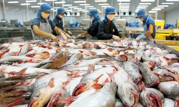 Challenges for tra fish exports to China