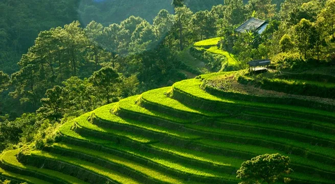 French anthropologists’ research on central highlands