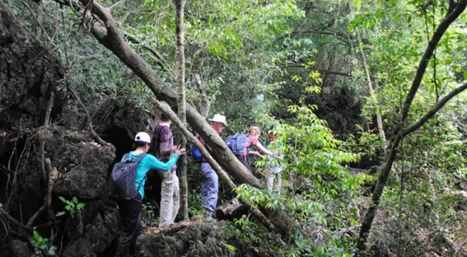 Cat Ba national park preserves medicinal plants