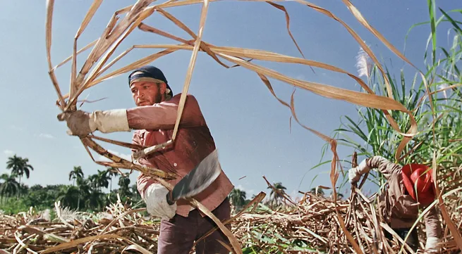 US agriculture coalition meets in Havana