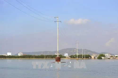 Cồn Chim islet now connected to national power grid