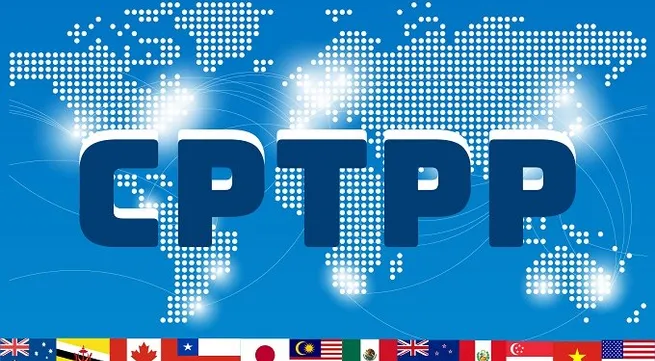 CPTPP opens up opportunities for cooperation and development