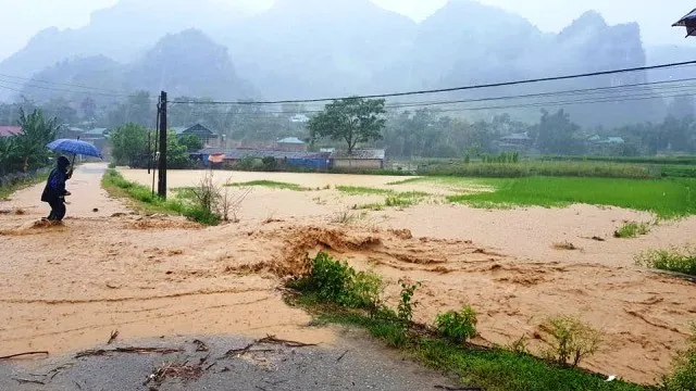 Flood deals heavy damages to Dien Bien