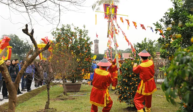 Neu tree planted for tet at Thang Long Citadel