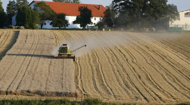 Heatwave ravages crops in Germany