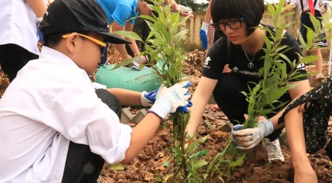 Raising awareness of using medicinal herbs instead of bear bile