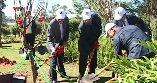 125 new cherry blossom trees in Da Lat