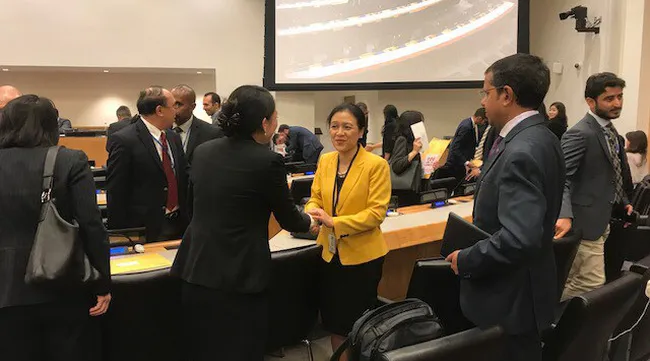 Vietnam runs for UN Security Council member