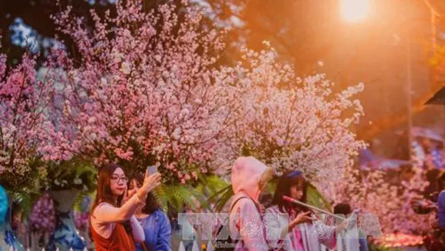 Cherry Blossom Festival to take place in late March