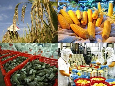 Opportunities for Vietnamese goods in foreign markets
