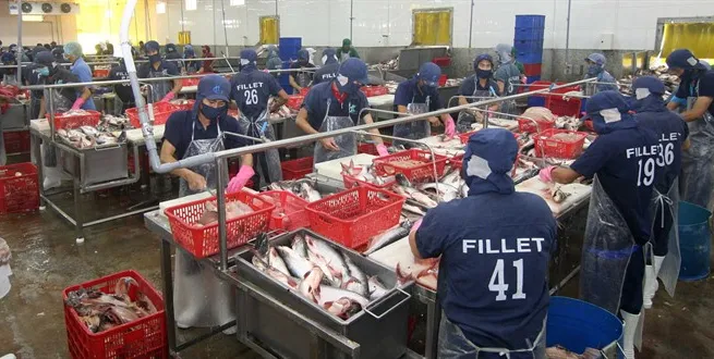 Tra export value rises, firms cautious