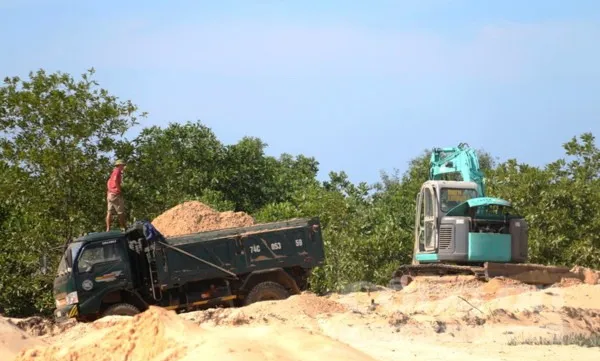 Illegal sand mining ravages An Giang Province