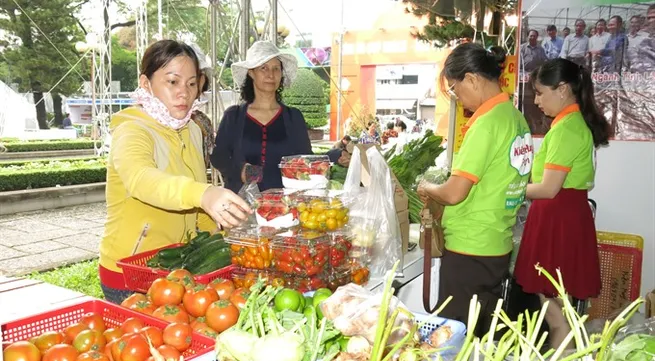 2nd Ornamental Fish Festival opens in HCM City