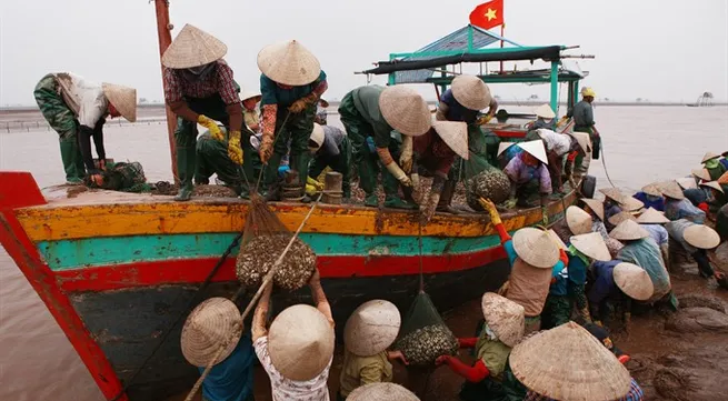 NA deputies discuss gender equality