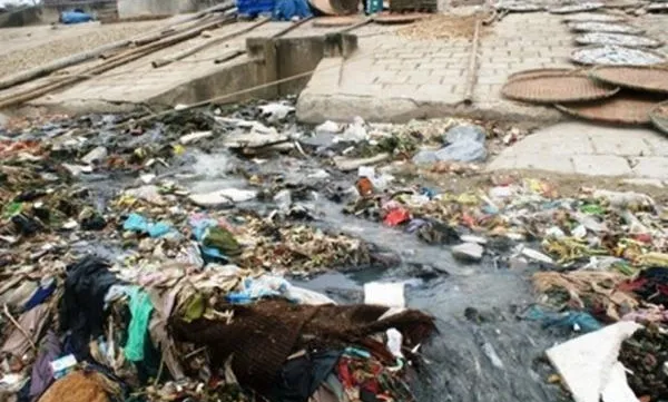 Thanh Hóa to build more hygienic toilets