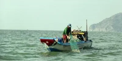 VN seafood mulls action on EU warning