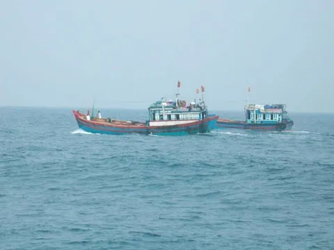 VN won’t tolerate IUU fishing: MARD