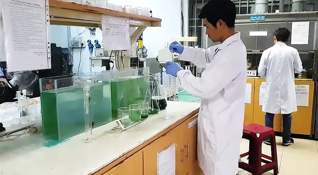 HCM City students find way to grow spirulina at home