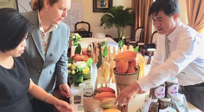 Fair-trade status for VN cocoa to ease access to EU market