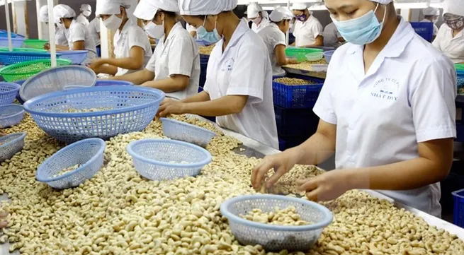 VN, Nigeria seek to boost trade cooperation