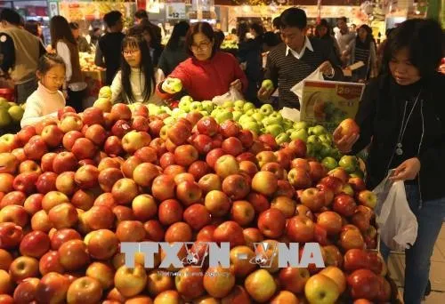 Strong Tết demand lifts CPI