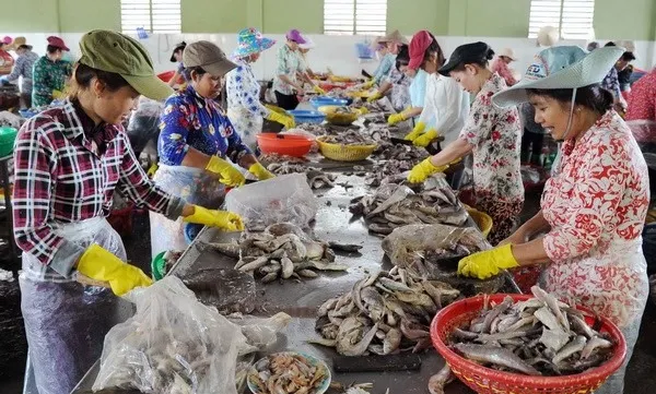 Funding boost to help SMEs in Trà Vinh Province