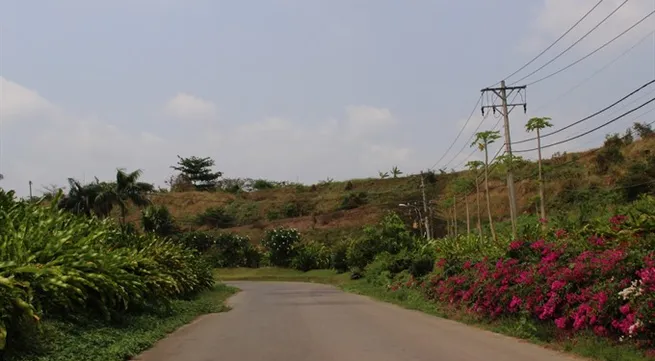 HCM City landfill grows into orchard