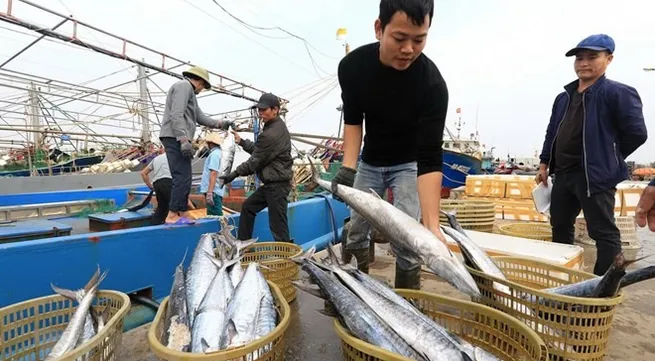 Fisheries sector enjoys great start to year