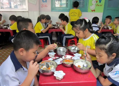HCM City to pilot food safety and hygiene programme in schools