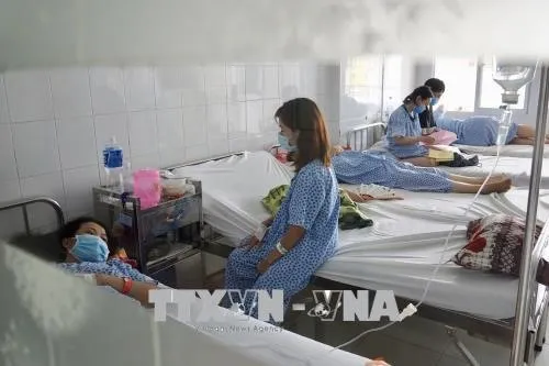 Bến Tre takes precautions after man dies from swine flu