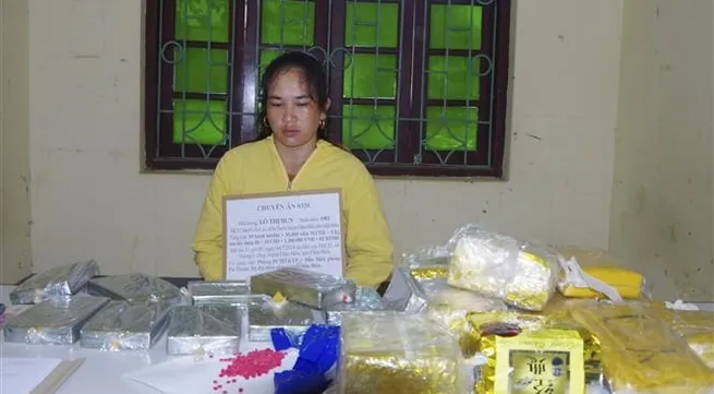 Drug trafficker nabbed in Điện Biên