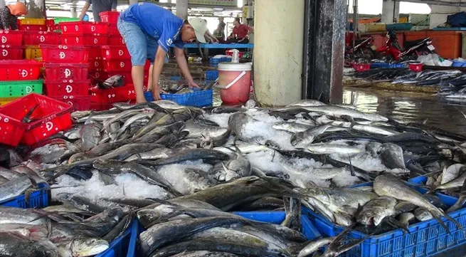 Fisheries sector strives to meet EC’s requirements