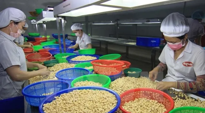 US-China trade war to hurt or benefit VN agriculture?