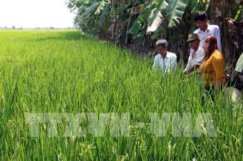 Kiên Giang set to increase exports