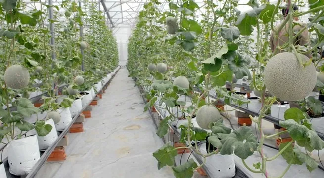 US firms appreciate Việt Nam’s investment environment