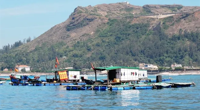 Funds allocated to preserve Lý Sơn Marine Protected Area