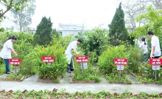 Use of traditional Vietnamese medicine expanded nationwide