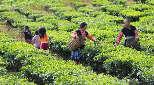 Australian Government to help north-western women improve their lives