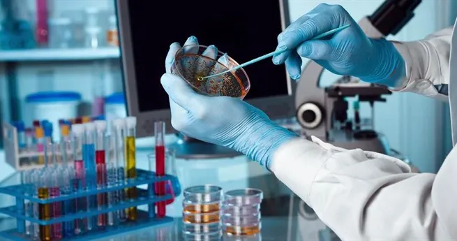 Simplification of business conditions remains limited: conference