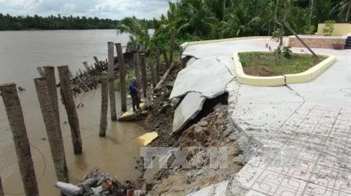 Bến Tre to build dyke along Hàm Luông River to prevent saline intrusion